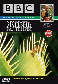 Постер «Невидимая жизнь растений»