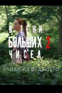 Постер «В тени больших чисел»