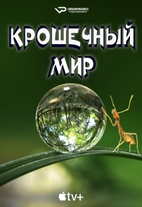 Постер «Крошечный мир»
