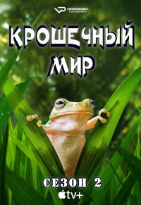 Постер «Крошечный мир»