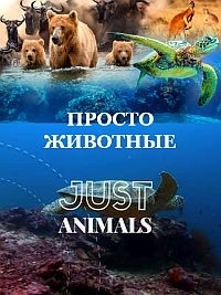 Постер «Просто животные»