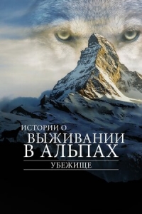 Постер «Убежище. Истории о выживании в Альпах»