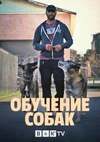 Постер «Обучение собак»