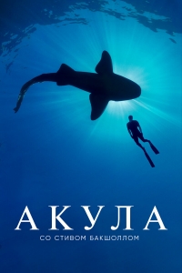 Постер «Акула со Стивом Бакшоллом»