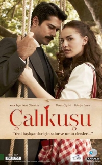 Постер «Королек - птичка певчая (2013)»