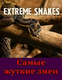 Постер «Самые жуткие змеи»