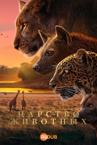 Постер «Царство животных»