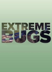 Постер «Экстремальные насекомые»