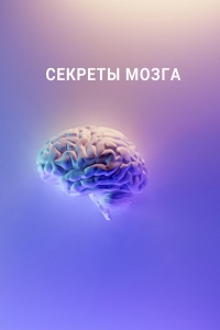 Постер «Секреты мозга (2016)»