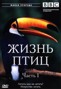 Постер «BBC: Жизнь птиц»
